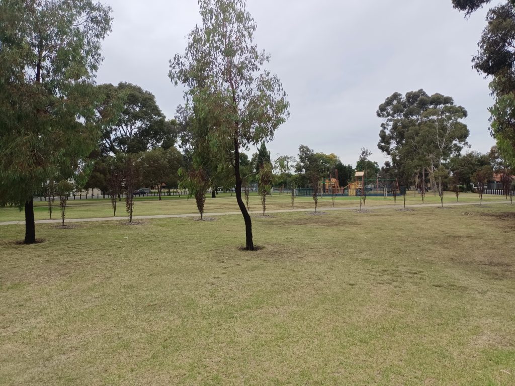 Grassed area looking toward playground