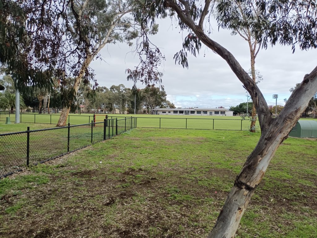 Tree with ferryden park reserve oval grass behind